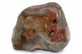 Polished Devil's Red Agate Slab - TeePee Canyon, South Dakota #373413-2